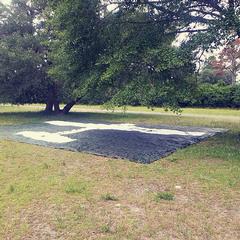 tarp with painted plane